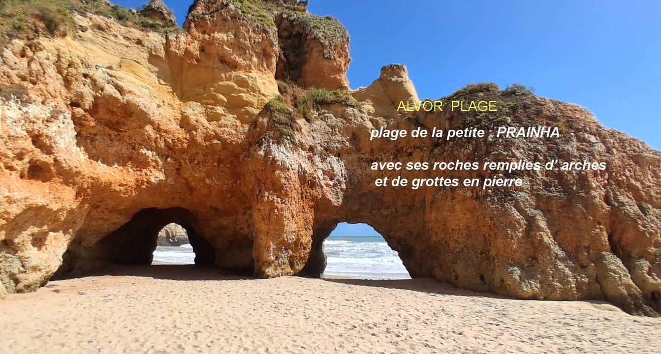 faro22