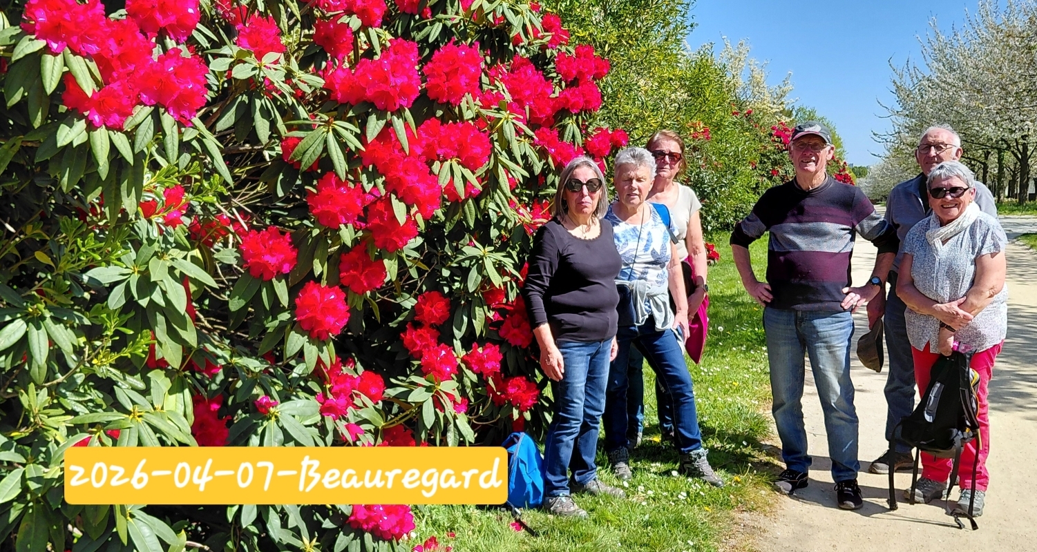 javascript image slider